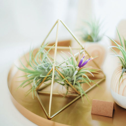 Decoraciones thumbnail